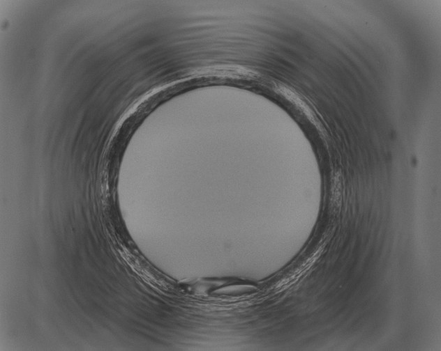 X0000084020923200703161735