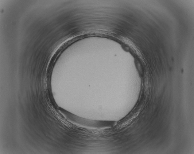 X0000084020924200703161735