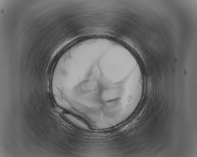 X0000084020925200703161735