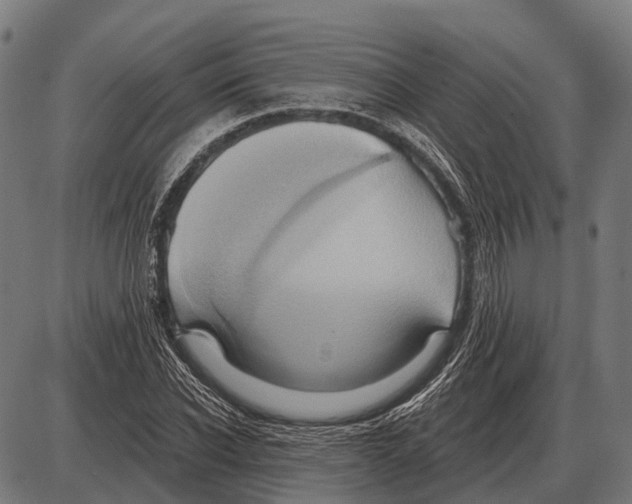 X0000084020926200703161735