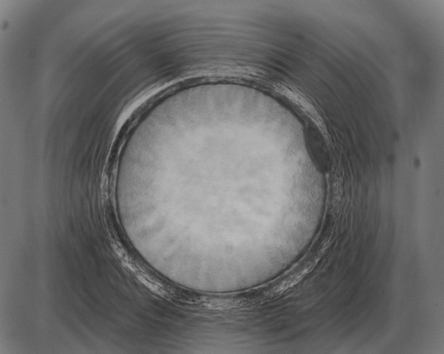 X0000084020928200703161736