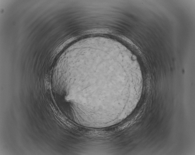 X0000084020929200703161736