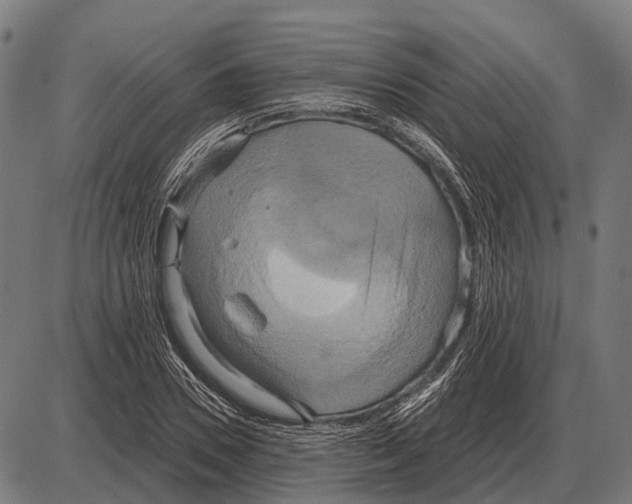 X0000084020930200703161736