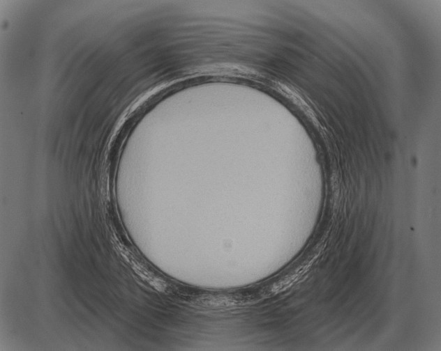 X0000084020931200703161736