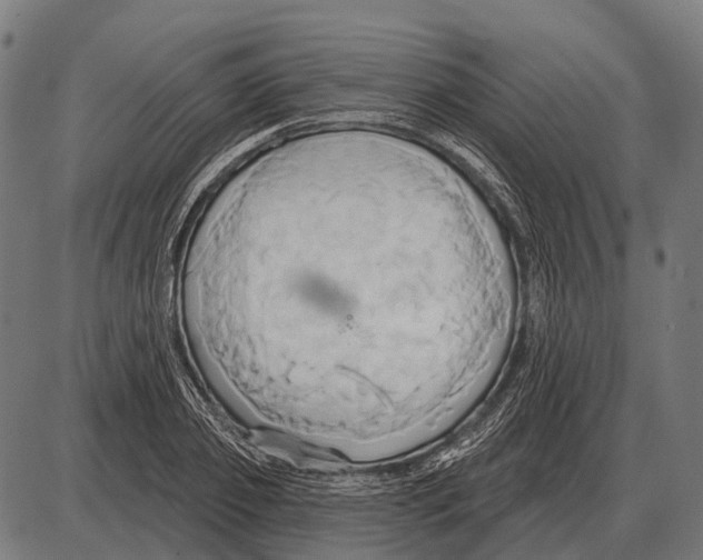 X0000084020933200703161736