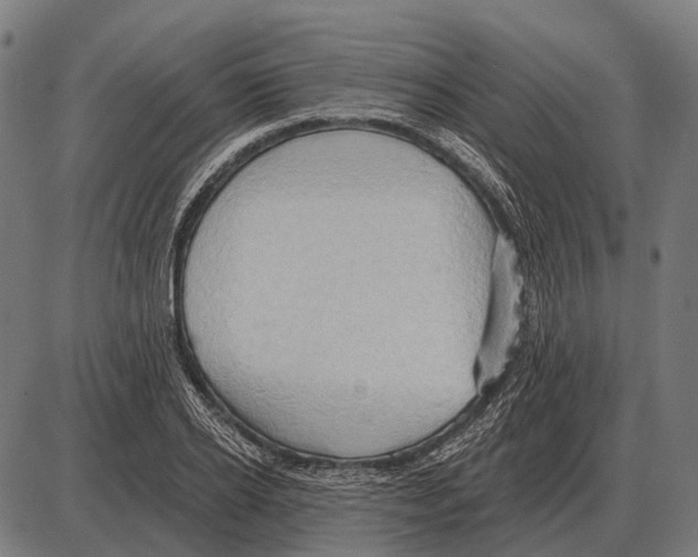 X0000084020934200703161736