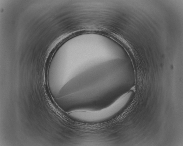 X0000084020935200703161736