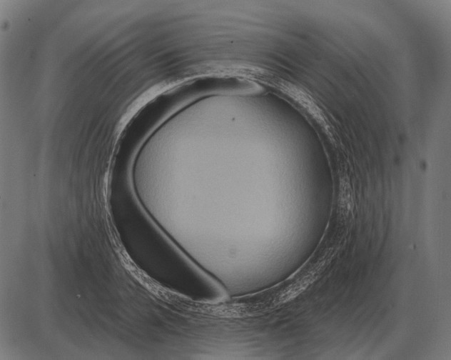 X0000084020936200703161736