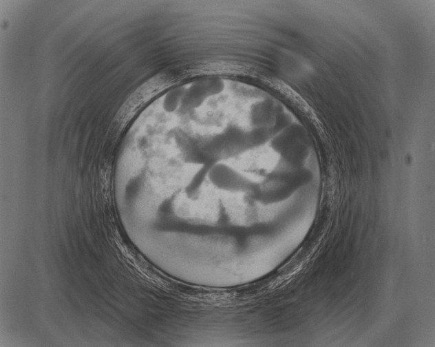 X0000084020937200703161736