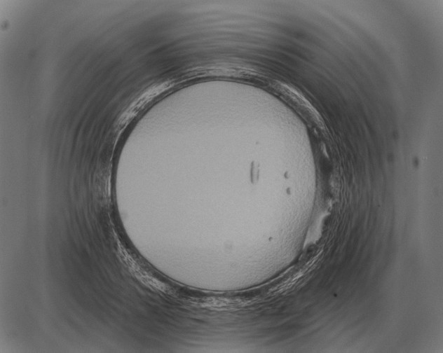 X0000084020938200703161736