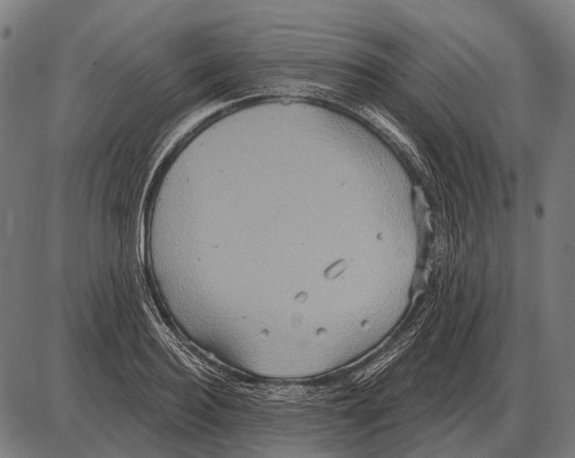 X0000084020940200703161736