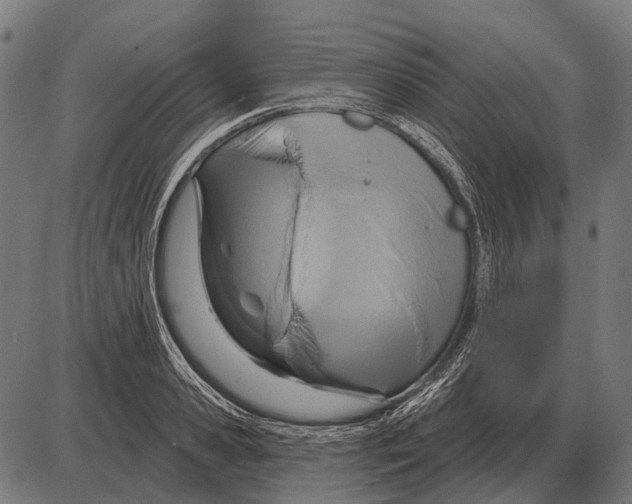 X0000084020941200703161736