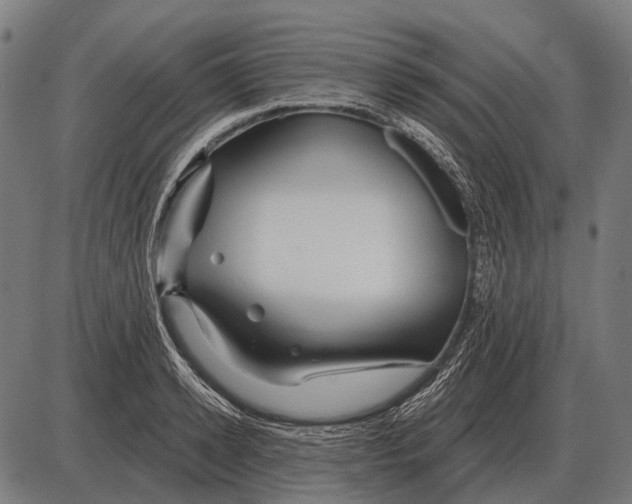 X0000084020942200703161736