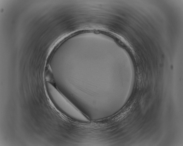 X0000084020943200703161736