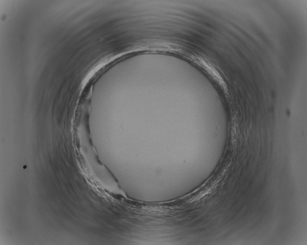 X0000084020944200703161736