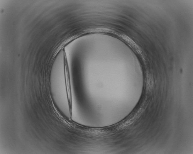 X0000084020945200703161736