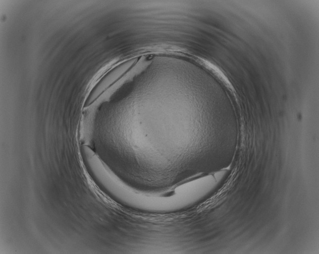 X0000084020946200703161736