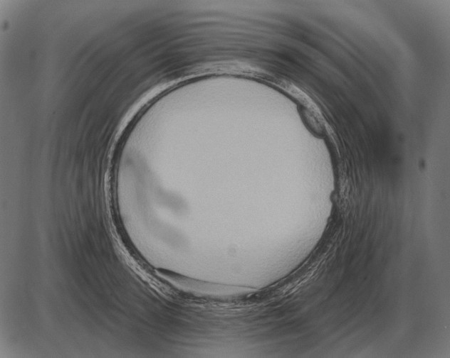 X0000084020947200703161736