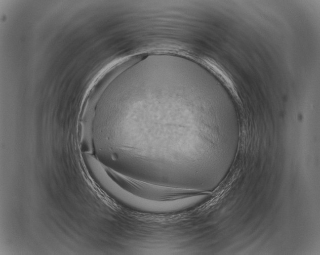 X0000084020948200703161736