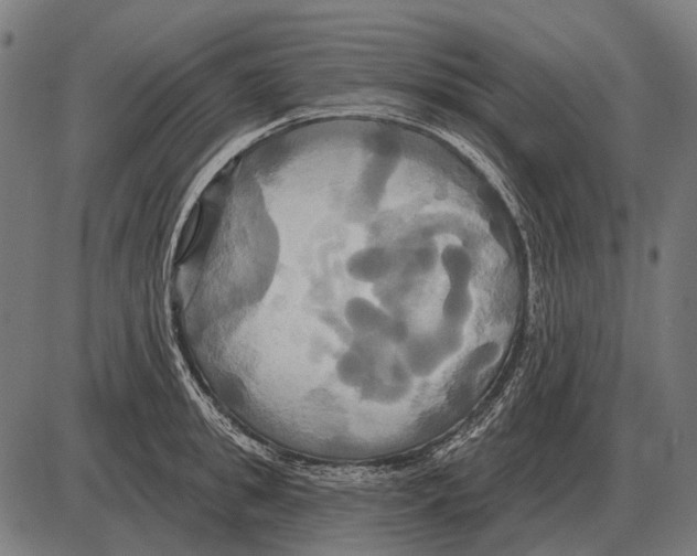 X0000084020949200703161736