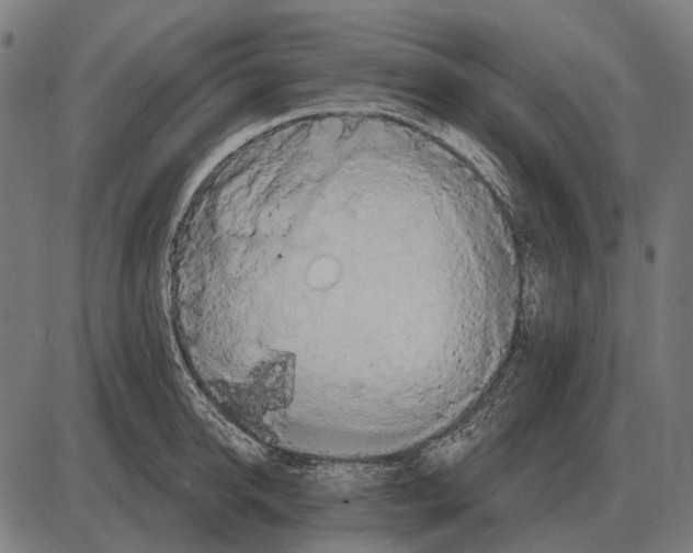 X0000084020950200703161736