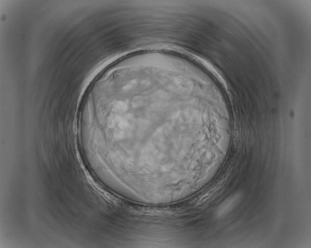 X0000084020951200703161736