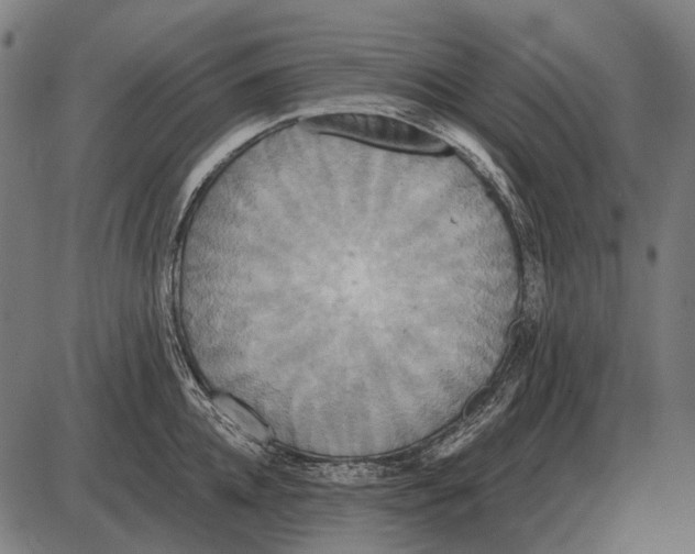 X0000084020952200703161736