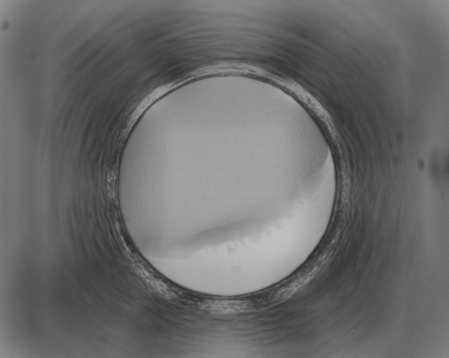 X0000084020953200703161736