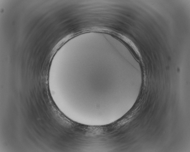 X0000084020954200703161736