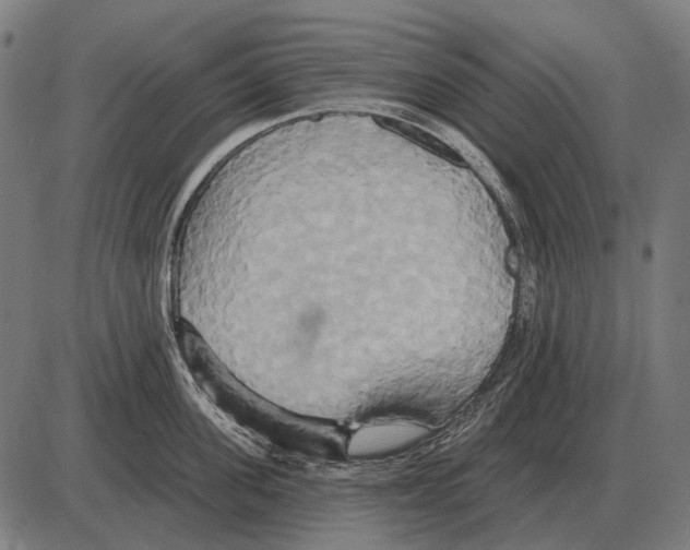 X0000084020955200703161736