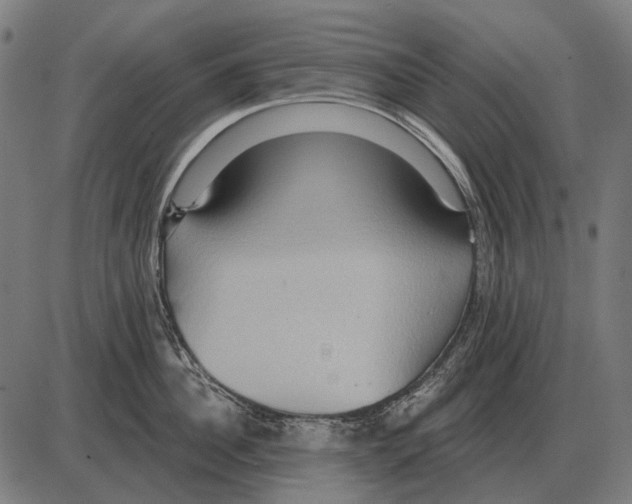 X0000084020956200703161736