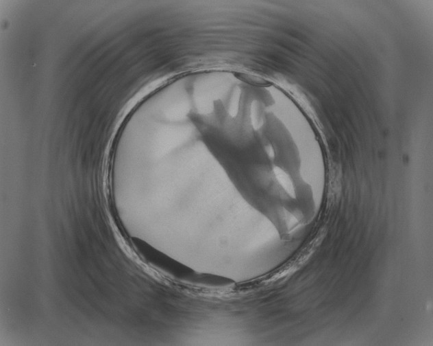 X0000084020957200703161736