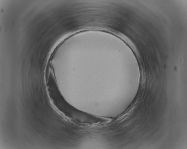 X0000084020958200703161736