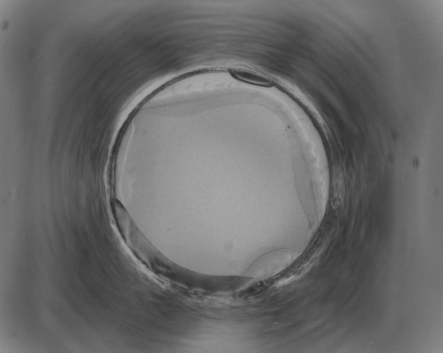 X0000084020959200703161736