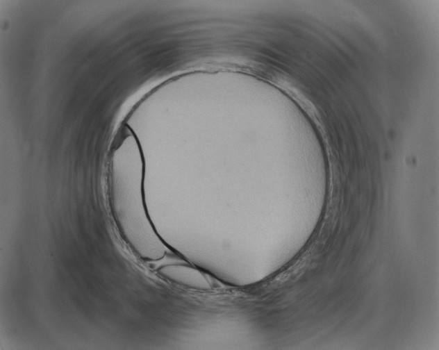 X0000084020960200703161736