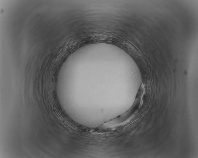 X0000084020961200703161735