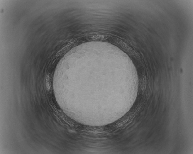 X0000084020962200703161735