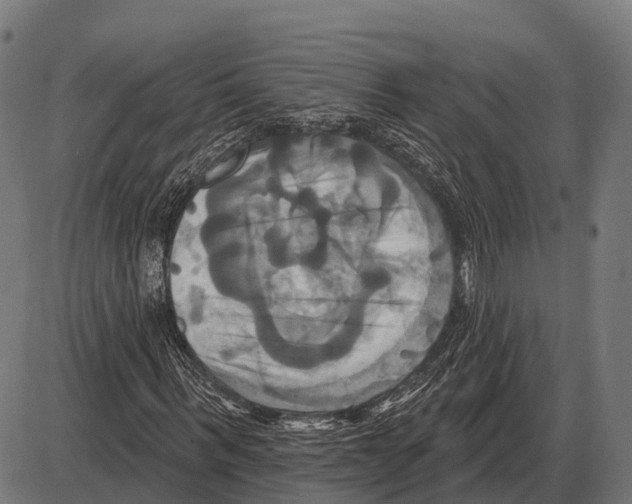 X0000084020963200703161735