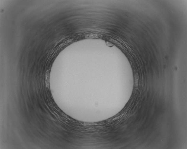 X0000084020964200703161735