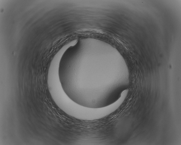 X0000084020965200703161735