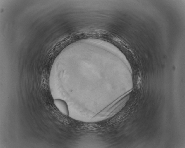 X0000084020966200703161735