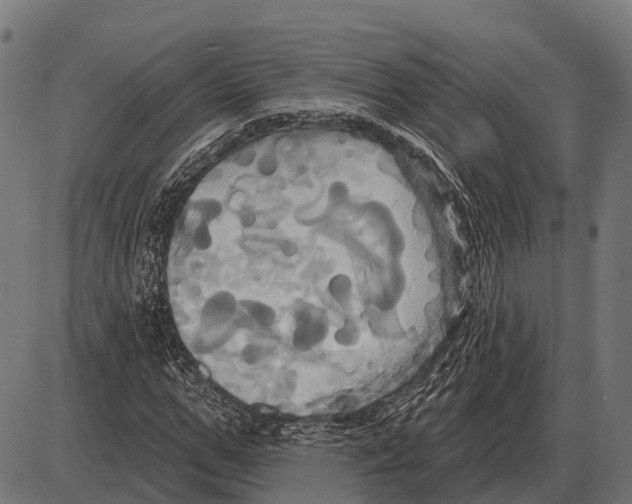 X0000084020967200703161735