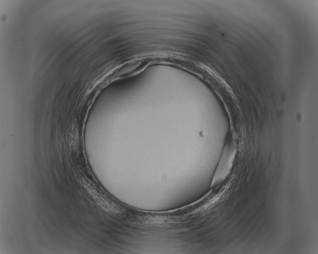 X0000084020969200703161735