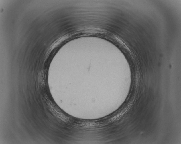 X0000084020970200703161735