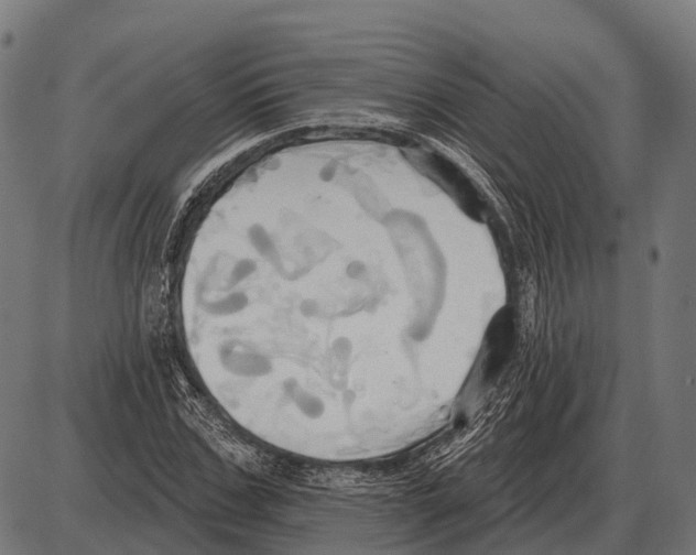 X0000084020971200703161735