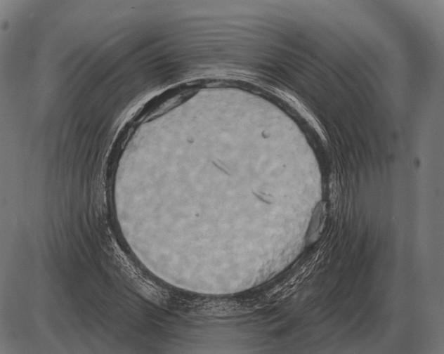 X0000084020972200703161735