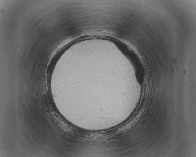 X0000084020974200703161735