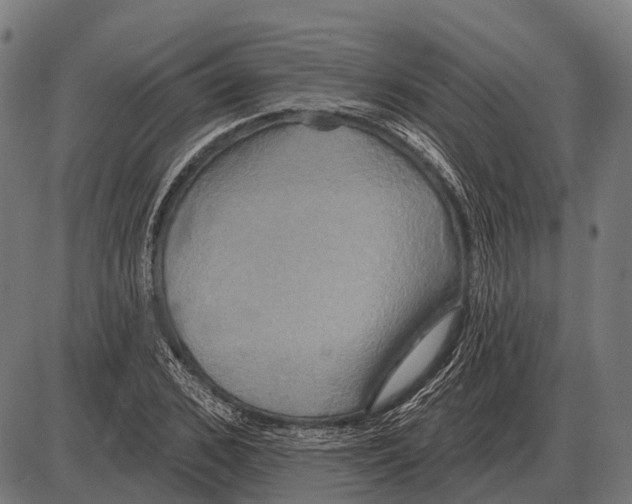 X0000084020976200703161735