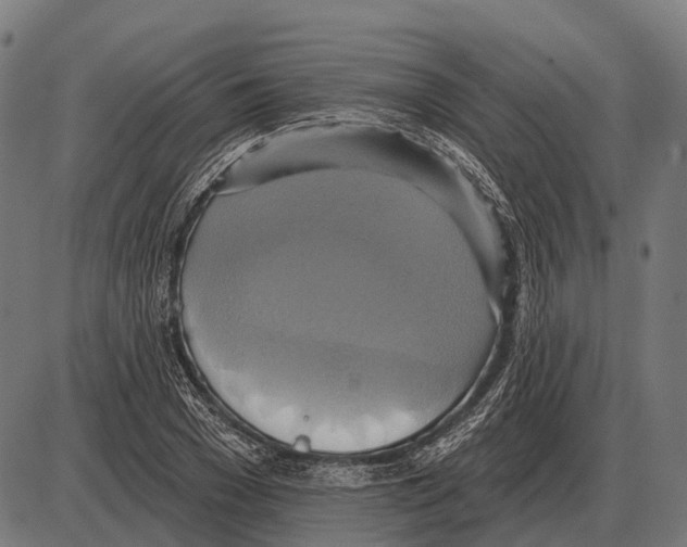 X0000084020977200703161735