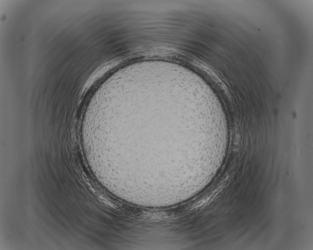 X0000084020978200703161735